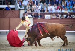 SIN OPCIONES LOS TOROS DE LA VENTANA DEL PUERTO