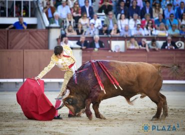 SIN OPCIONES LOS TOROS DE LA VENTANA DEL PUERTO