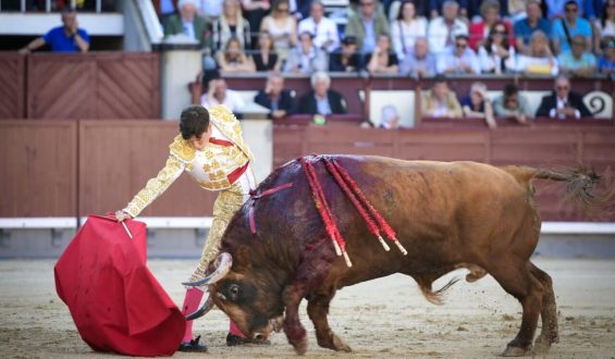 SIN OPCIONES LOS TOROS DE LA VENTANA DEL PUERTO