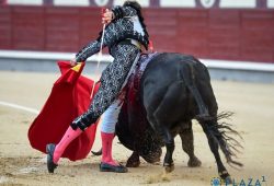 OREJA DE MUCHO PESO PARA ROMAN EN MADRID