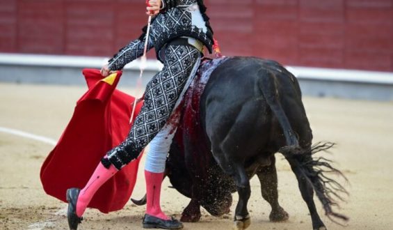 OREJA DE MUCHO PESO PARA ROMAN EN MADRID