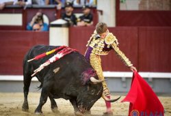 UN TORO BRAVO DEJÓ VER LAS CONDICIONES DE BORJA JIMENEZ QUE CORTÓ UNA OREJA