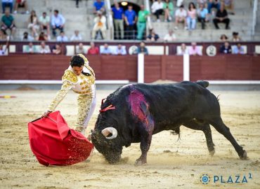 BALANCE POSITIVO PARA JUAN DE CASTILLA SIN OREJAS EN MADRID