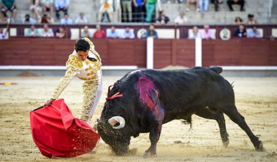 BALANCE POSITIVO PARA JUAN DE CASTILLA SIN OREJAS EN MADRID