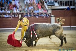 MUY DURA CORRIDA DE ESCOLAR SIN OPCIONES PARA LOS TOREROS