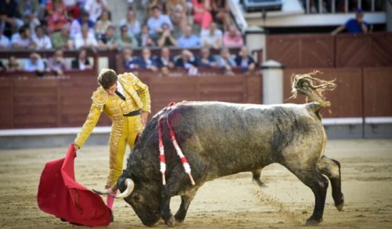 MUY DURA CORRIDA DE ESCOLAR SIN OPCIONES PARA LOS TOREROS