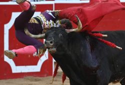 TRIUNFO Y ADVERSIDAD en la 1ª de PAMPLONA