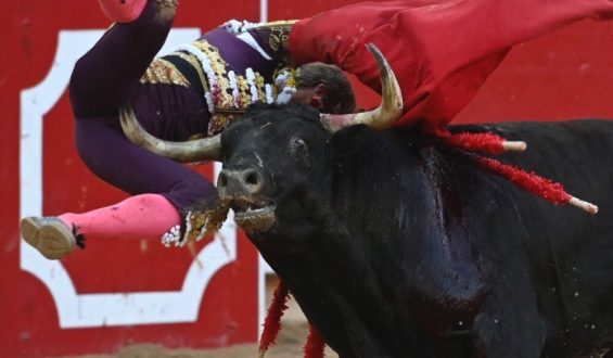 TRIUNFO Y ADVERSIDAD en la 1ª de PAMPLONA