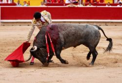 SE LE ESCAPÓ LA PUERTA GRANDE A JUAN DE CASTILLA POR LA ESPADA