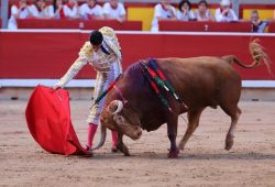 COMPLICADA CORRIDA DE DOMINGO HERNANDEZ QUE NO CONTRIBUYÓ AL TRIUNFO DE LOS TOREROS.