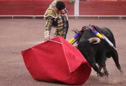 C. PARDO EN PERU Y S. CAQUEZA EN ECUADOR CAPITALIZAN SENDOS TRIUNFOS