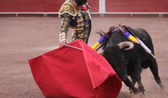 C. PARDO EN PERU Y S. CAQUEZA EN ECUADOR CAPITALIZAN SENDOS TRIUNFOS