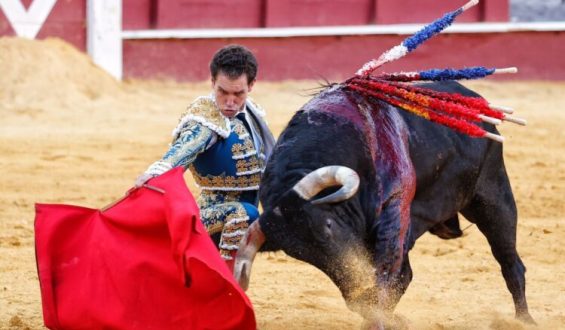 DESLUCIDA CORRIDA DE LAGUNAJANDA EN LA MALAGUETA