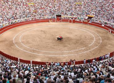 CALI A LA ESPERA DE SUS CARTELES