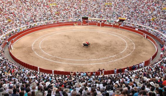 CALI A LA ESPERA DE SUS CARTELES