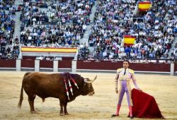 DESPEDIDA CON PUERTA GRANDE PARA ENRIQUE PONCE EN MADRID.