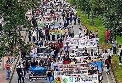 NUTRIDA MARCHA EN FAVOR DE LAS LIBERTADES CULTURALES