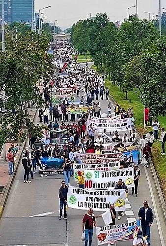 NUTRIDA MARCHA EN FAVOR DE LAS LIBERTADES CULTURALES