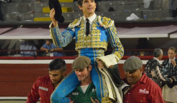 CASTELLA ABRE LA PUERTA GRANDE DE “CAÑAVERALEJO”. ENCIERRO DE ESCASO JUEGO DE “LAS VENTAS DEL ESPIRITU SANTO”