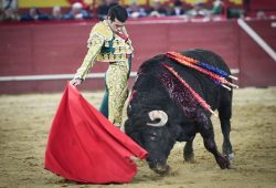 FAENON DE EMILIO DE JUSTO SALVA LA TARDE EN VALDEMORILLO.