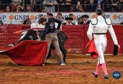 EL NOVILLERO MAIKEL RAMIREZ EN CONTRA DEL PROHIBICIONISMO