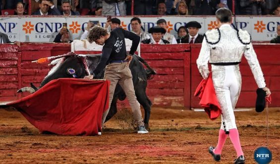 EL NOVILLERO MAIKEL RAMIREZ EN CONTRA DEL PROHIBICIONISMO