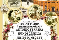 ATRACTIVO MANO A MANO EN PUENTEPIEDRA.
