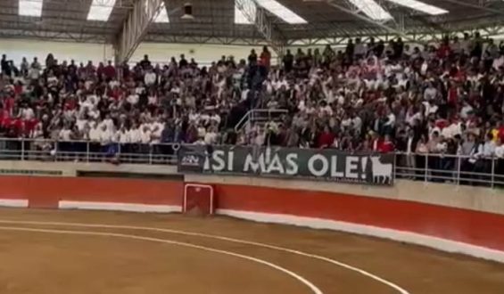 UNA PLAZA LLENA EXIGIENDO LIBERTAD Y RESPETO