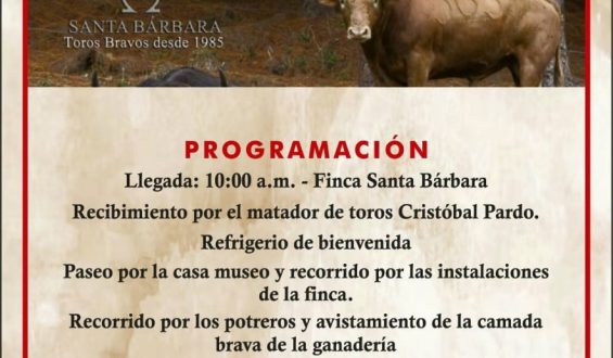 “EL TOPITO” QUIERE CONVERTIR SU SUEÑO EN REALIDAD