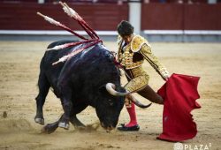 SIN OREJAS LA DUODECIMA CORRIDA DE LA FERIA DE SAN ISIDRO