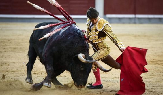 SIN OREJAS LA DUODECIMA CORRIDA DE LA FERIA DE SAN ISIDRO