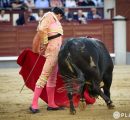LOS ACEROS CONDICIONARON LOS TRIUNFOS DE LOS TOREROS EN MADRID