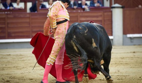 LOS ACEROS CONDICIONARON LOS TRIUNFOS DE LOS TOREROS EN MADRID