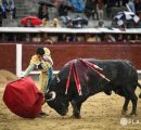 OREJA DE LEY PARA ISAAC FONSECA