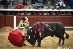OREJA DE LEY PARA ISAAC FONSECA