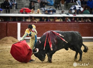 OREJA DE LEY PARA ISAAC FONSECA