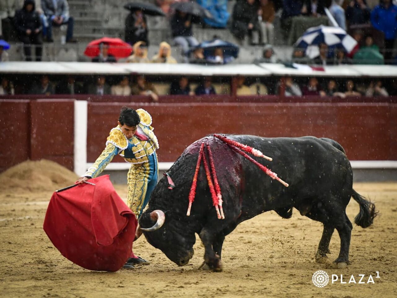 OREJA DE LEY PARA ISAAC FONSECA
