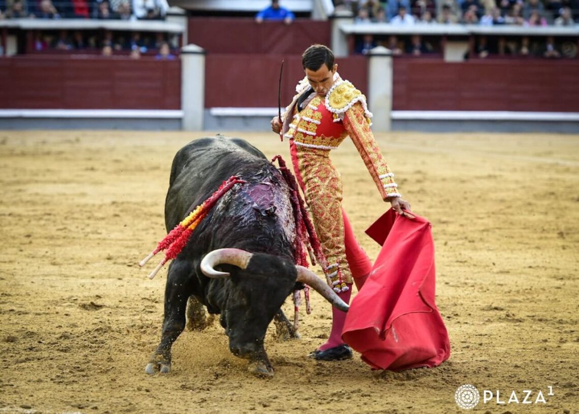 DECEPCIONANTE CORRIDA DE VALDEFRESNO EN MADRID