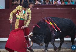 SIN OREJAS LA CORRIDA DE LA PRENSA EN SUS 125 AÑOS. FAENA PARA EL RECUERDO DE MORANTE DE LA PUEBLA.