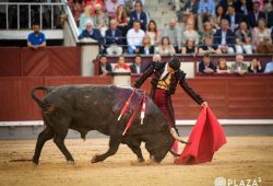SIN ALMA EL ENCIERRO DE JUAN PEDRO DOMECQ EN LA DECIMO CUARTA DE SAN ISIDRO. UN TORREALTA SALVA LA TARDE