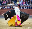SE LE ESCAPA LA CUARTA PUERTA GRANDE A F. ADRIAN POR LA ESPADA