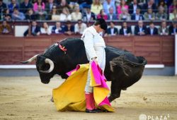 SE LE ESCAPA LA CUARTA PUERTA GRANDE A F. ADRIAN POR LA ESPADA