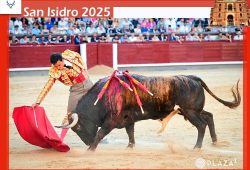 MANSADA DE DOLORES AGUIRRE EN LA DECIMOSEXTA DE SAN ISIDRO. JUAN DE CASTILLA DA VUELTA AL RUEDO