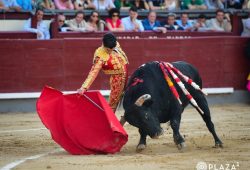 NO DEJO DUDAS DE SU CAPACIDAD EL NOVILLERO MARCO PEREZ EN MADRID