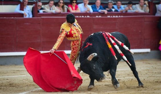 NO DEJO DUDAS DE SU CAPACIDAD EL NOVILLERO MARCO PEREZ EN MADRID