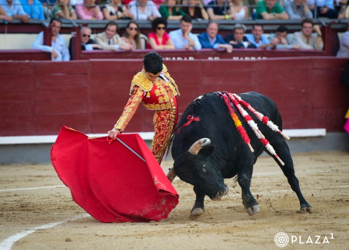 NO DEJO DUDAS DE SU CAPACIDAD EL NOVILLERO MARCO PEREZ EN MADRID