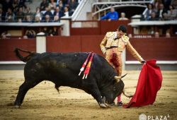 TALAVANTE TOREA CON DESMAYO Y ABRE LA PUERTA GRANDE