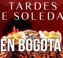 ÚNICAS DOS FUNCIONES DE “TARDES DE SOLEDAD” EN LA CINEMATECA DE BOGOTA