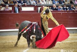 SOLITARIA OREJA PARA UCEDA LEAL EN LA NOVENA DE SAN ISIDRO