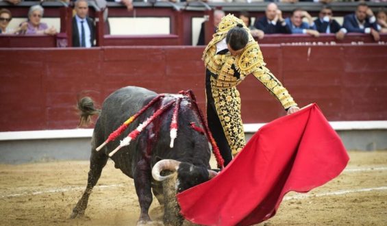 SOLITARIA OREJA PARA UCEDA LEAL EN LA NOVENA DE SAN ISIDRO
